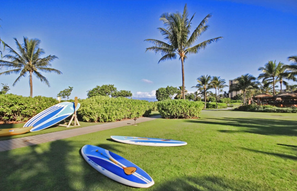 Rent a paddleboard from the beach activities kiosk