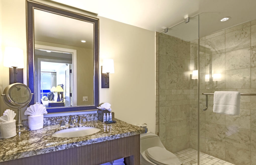 Guest bathroom with granite vanity and walk-in shower