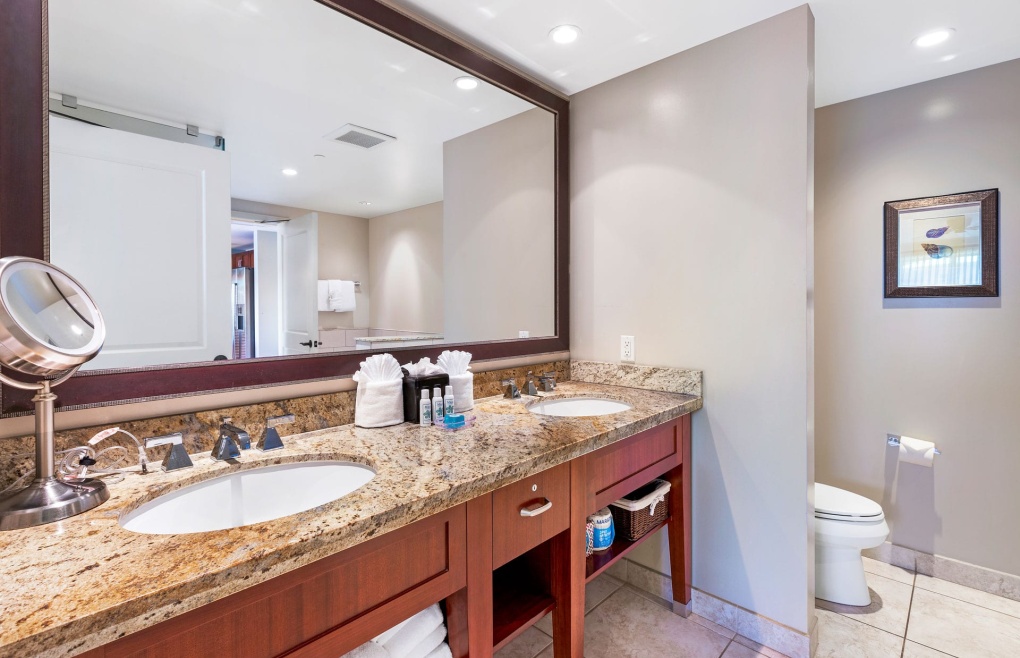 The guest bathroom also features a double granite vanity