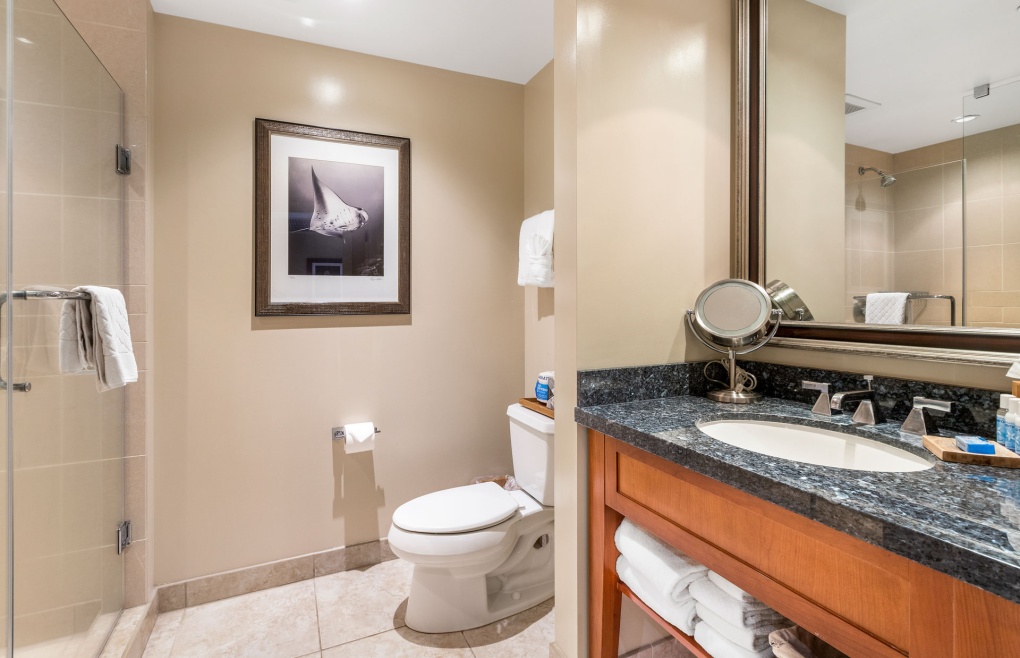 The bathroom offers a granite vanity